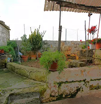 Foto annuncio 29