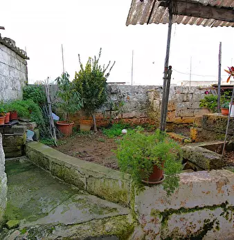 Foto annuncio 30