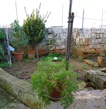 Foto annuncio 31