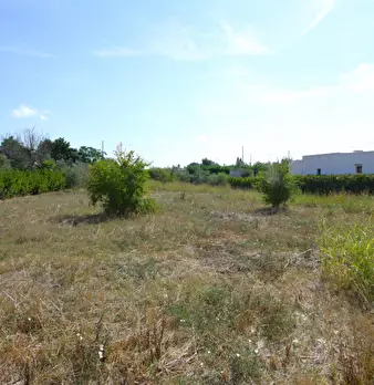 Foto annuncio 19