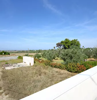 Foto annuncio 24