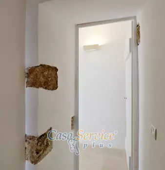 Foto annuncio 24