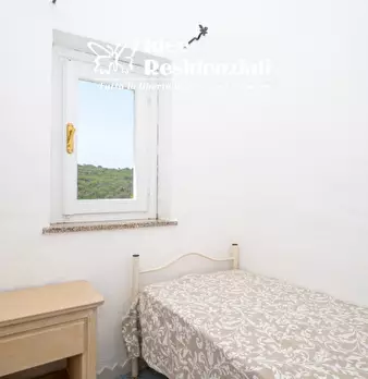 Foto annuncio 12