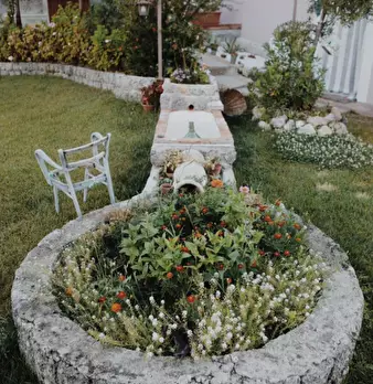 Foto annuncio 18