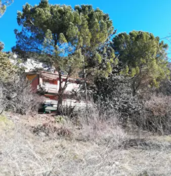 Foto annuncio 4