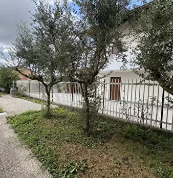 Foto annuncio 12