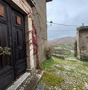 Foto annuncio 8