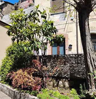 Foto annuncio 19