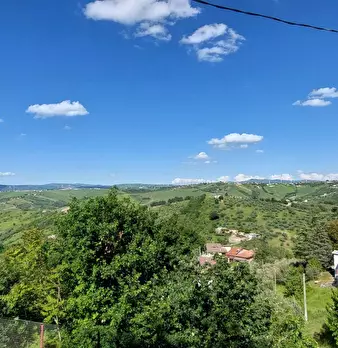 Foto annuncio 20