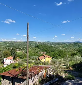 Foto annuncio 21