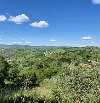 Foto annuncio 29