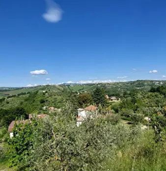 Foto annuncio 30