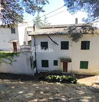 Foto annuncio 11