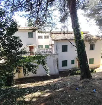 Foto annuncio 12