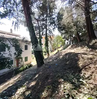 Foto annuncio 14
