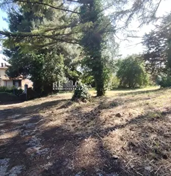 Foto annuncio 24
