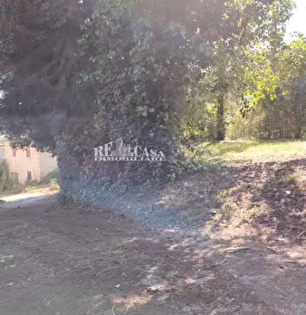Foto annuncio 25