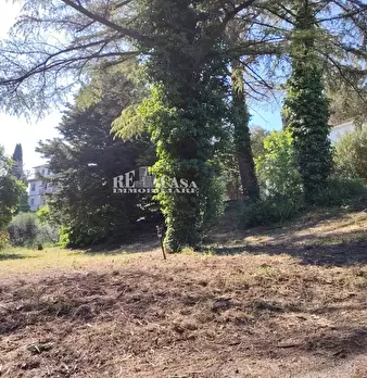 Foto annuncio 26