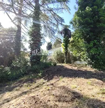 Foto annuncio 28