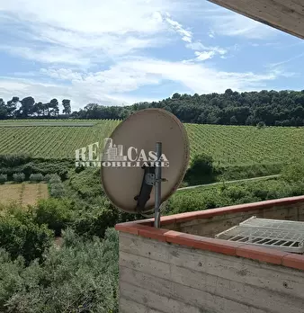 Foto annuncio 21