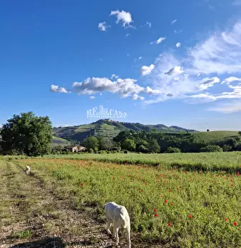 Foto annuncio 67