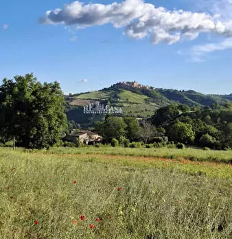 Foto annuncio 68