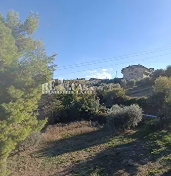 Foto annuncio 12