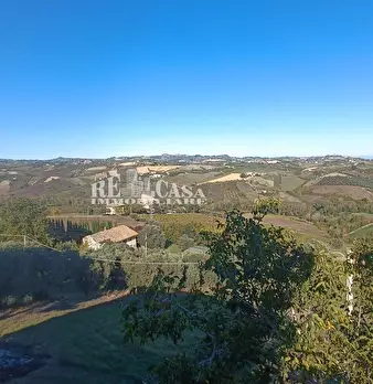 Foto annuncio 13
