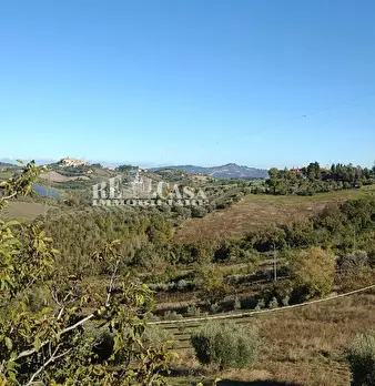 Foto annuncio 14