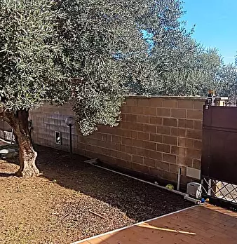 Foto annuncio 6