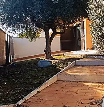 Foto annuncio 7
