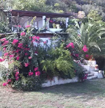 Foto annuncio 2