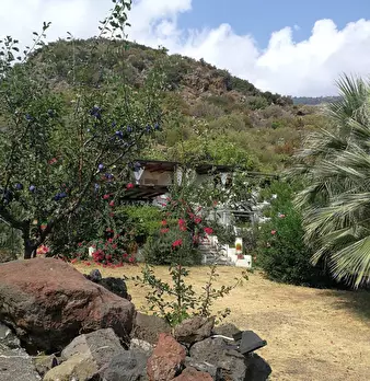 Foto annuncio 13