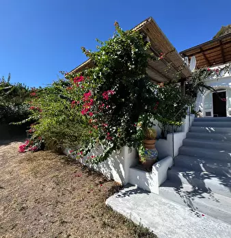 Foto annuncio 43