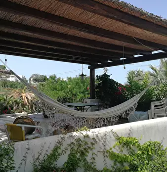 Foto annuncio 60