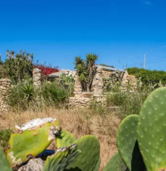 Foto annuncio 36