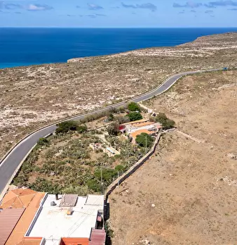 Foto annuncio 76
