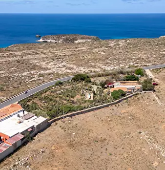 Foto annuncio 78