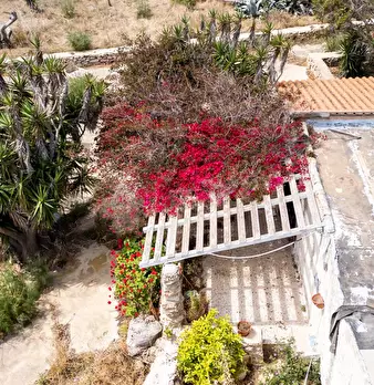 Foto annuncio 100