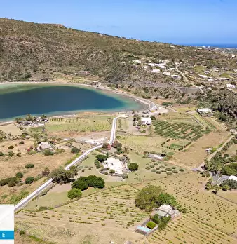 Foto annuncio 51
