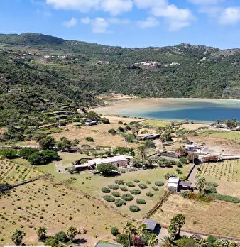 Foto annuncio 56