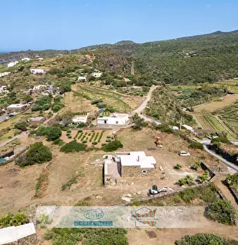 Foto annuncio 53