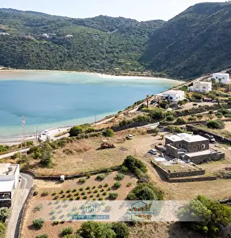 Foto annuncio 59