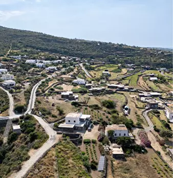 Foto annuncio 63