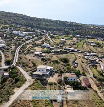 Foto annuncio 64