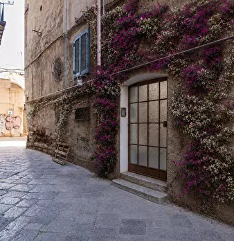 Foto annuncio 2