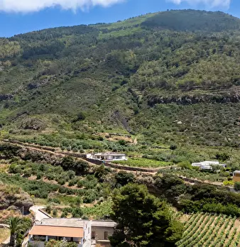 Foto annuncio 47