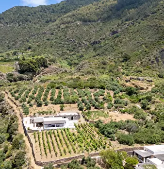 Foto annuncio 48