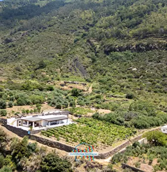 Foto annuncio 50