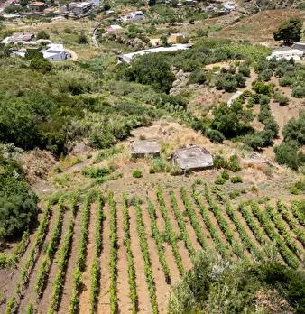 Foto annuncio 51